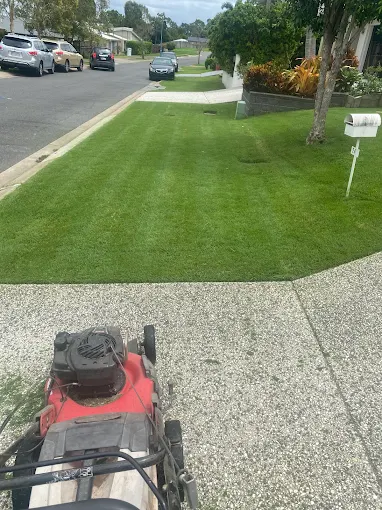 Maintained front lawn beside a residential driveway